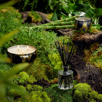 Moso Bamboo - Reed Diffuser