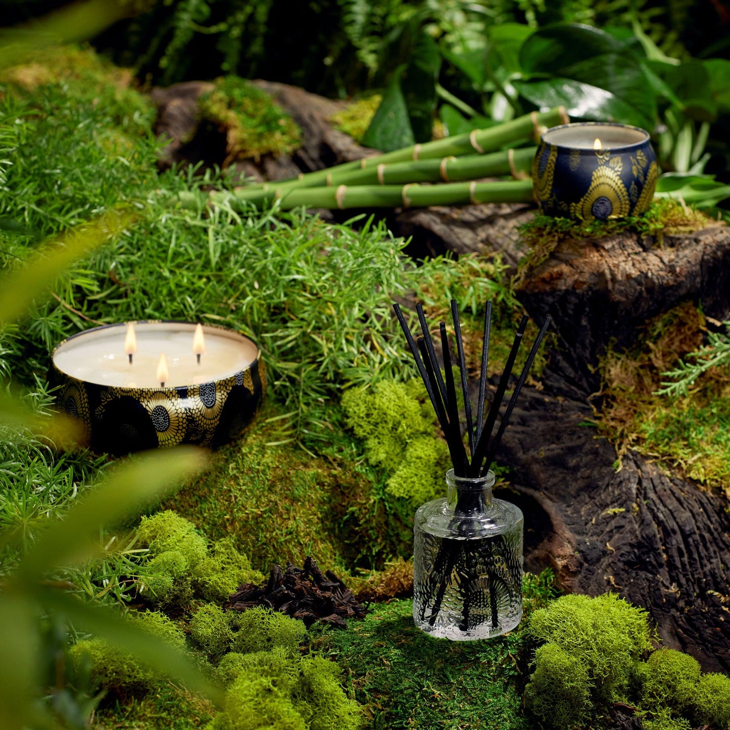 Moso Bamboo - 3 Wick Tin Candle