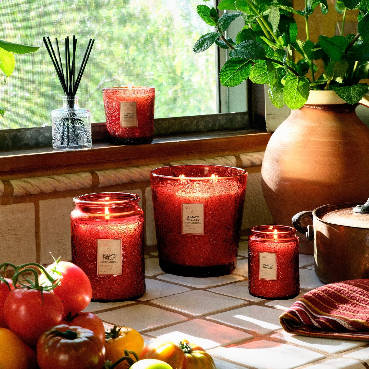 Tomato Trellis - Small Jar Candle
