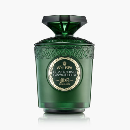 Bewitching Banyan Forest - Boxed Candle